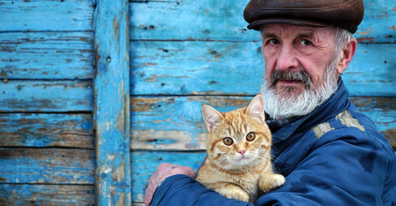 man playing with a cat on his hands