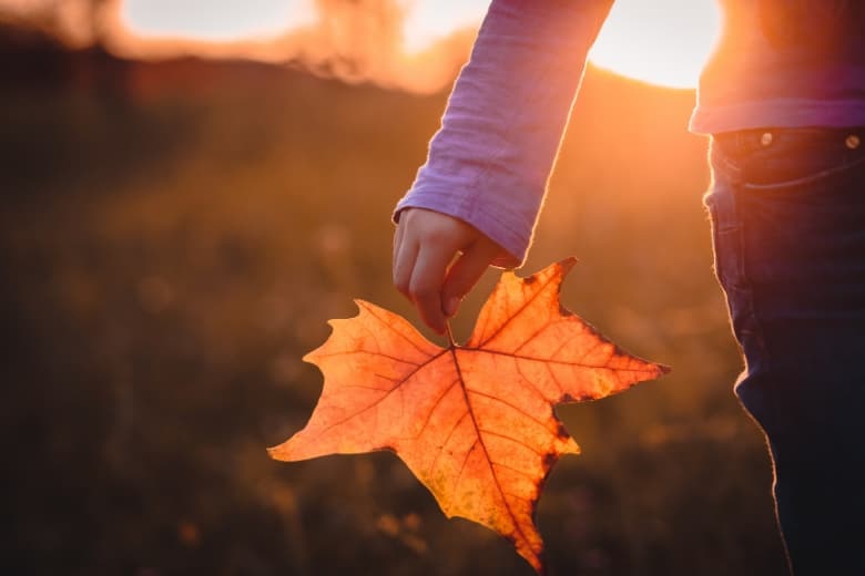 Hand hält Blatt in Herbstfarben