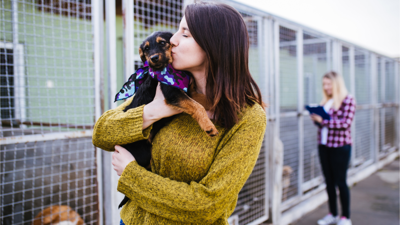 Einer der 30 Dinge, die jeder vor dem 30. Lebensjahr machen sollte, ist es, ein Tier aus dem Tierheim zu adoptieren.