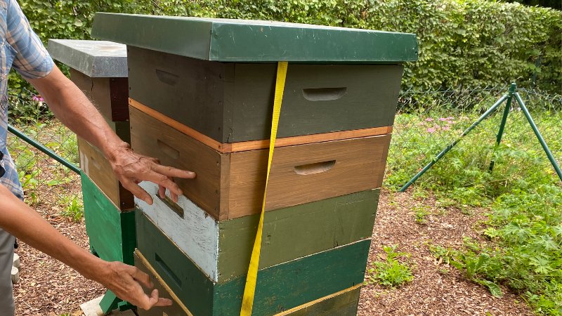 Bienenstock aus aufeinander gestapelten Holzkisten