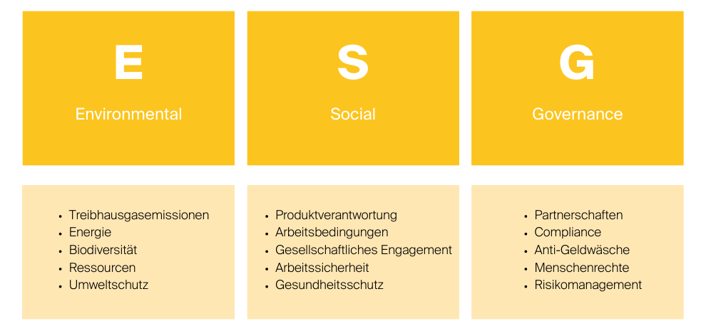 Infografik ESG Kriterien: E steht für Environmental, S für Social, G für Governance. Beispiele für Environmental sind Treibhausgasemissionen und Umweltschutz. Beispiele für Social sind Arbeitsbedingungen und gesellschaftliches Engagement. Beispiele für Governance sind Partnerschaften und Compliance.