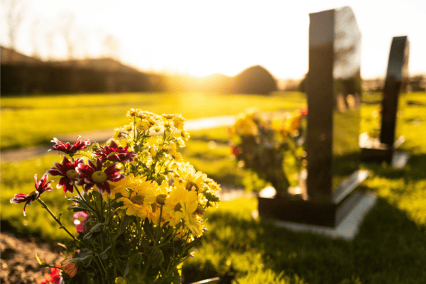 Gräber mit Blumen im Abendlicht